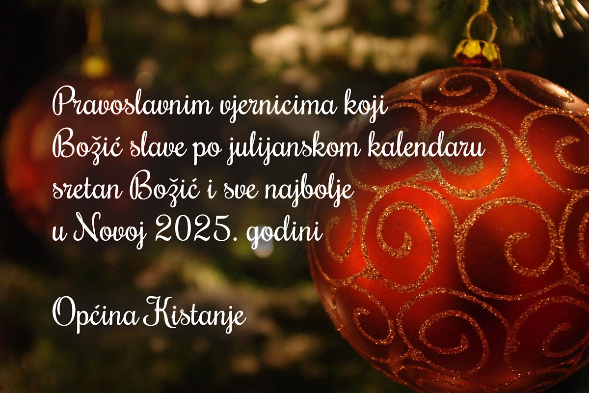 bozic 2025